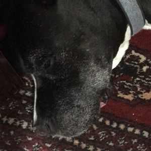 Meet your Posher, Linda